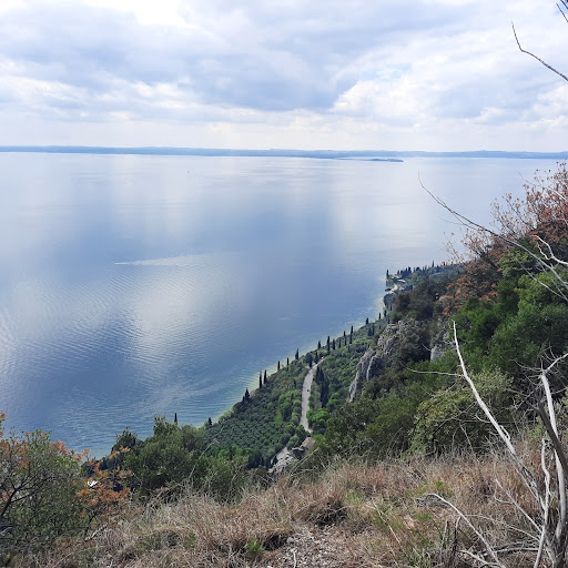 Mount Luppia - Visual