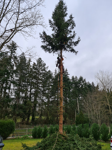 Photo de Vert Et Paysage à Nassandres (27550)