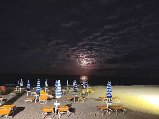 Beach Royal - Visual