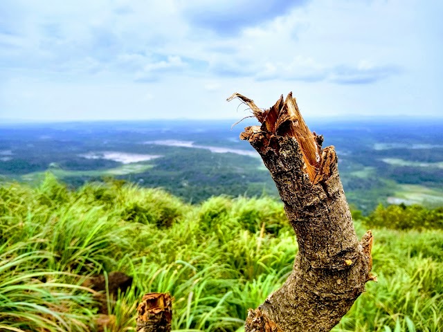 Kurumbalakotta Kurishu Mala