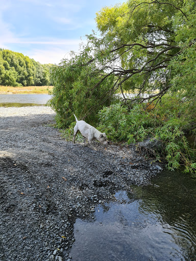 The River - Tutaekuri