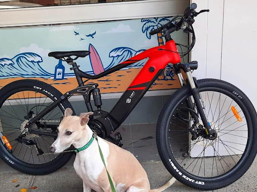 Zippy E Bikes - Thumbnail