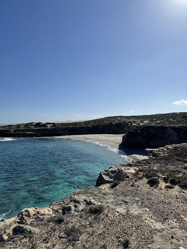 Australian Coastal Safaris - Thumbnail