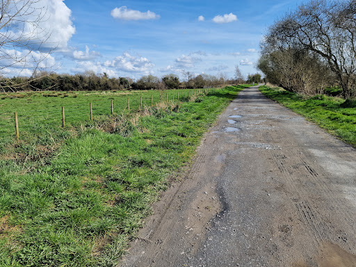 Coalisland Canal Moor road Car Park - Thumbnail