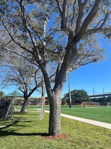 Sand Pine Park - Visual
