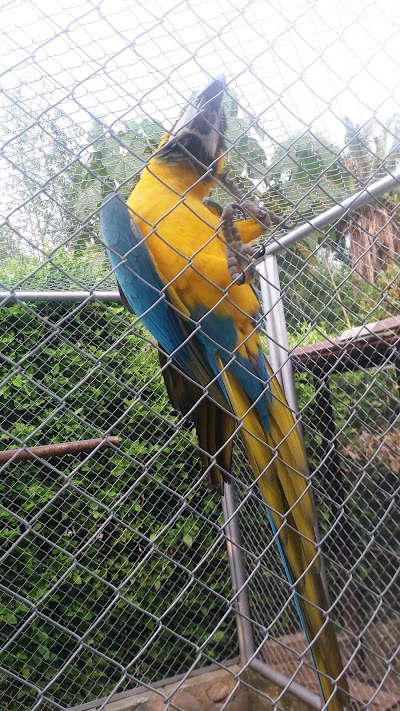 Photos of Finca El Diamante (Tulua)