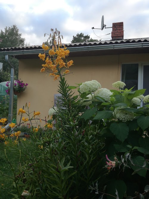 Cottage by the Sea in the National Seaside Park