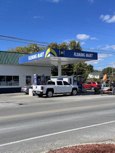 FLEMING MART - Visual