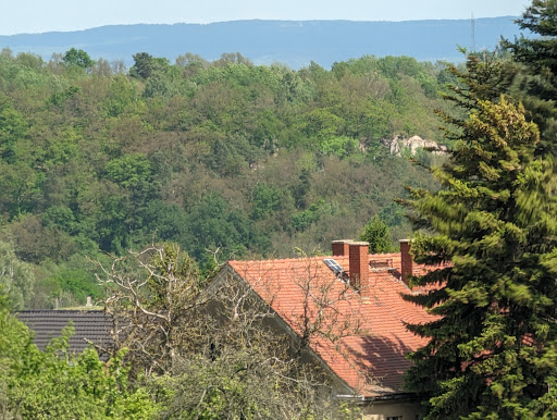 Schülerbusch - Visual