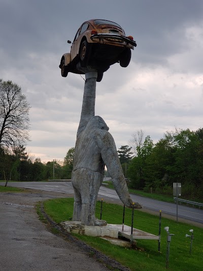 Gorilla Holding a VW Beetle