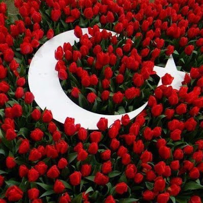 Photos of S&uuml;kyan K&ouml;y Mezarlıgı
