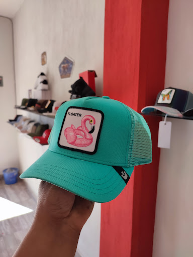PUMACAPS - Visual