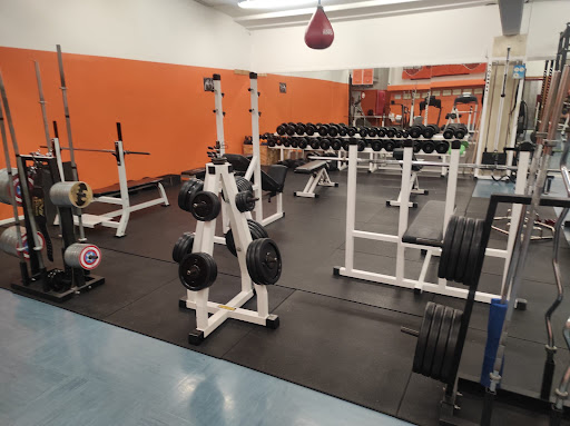 Palestra Gold Gym - Thumbnail