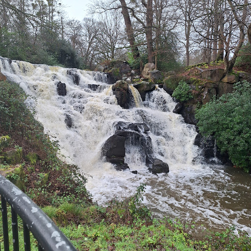 Car Park - Virginia Water - Thumbnail