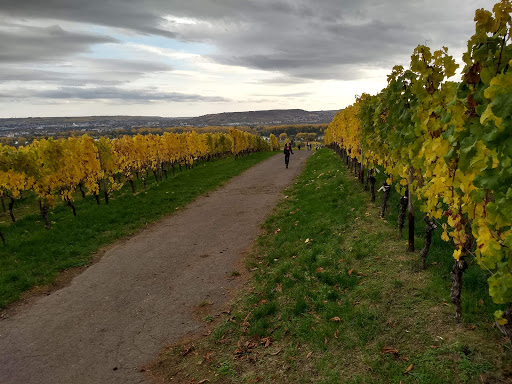 Weingut Fritz Allendorf Logistik - Thumbnail