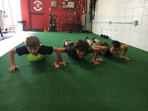 The Functional Athlete - Thumbnail