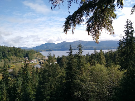 Alaska Canopy Adventures - Thumbnail