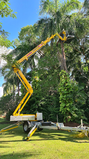 ArborWork Tree Services - Thumbnail