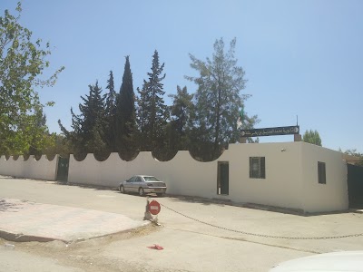 Photos of Sonatiba