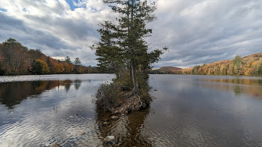 Ricker Pond's Lookout