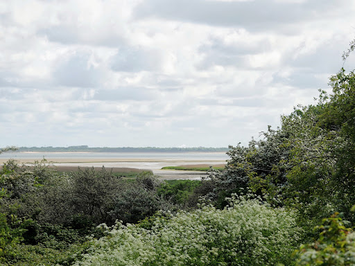 Duinen van Goeree - Thumbnail