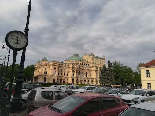 Parking płatny, Author: Łukasz Olesiński