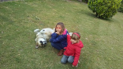 Photos of La Casona