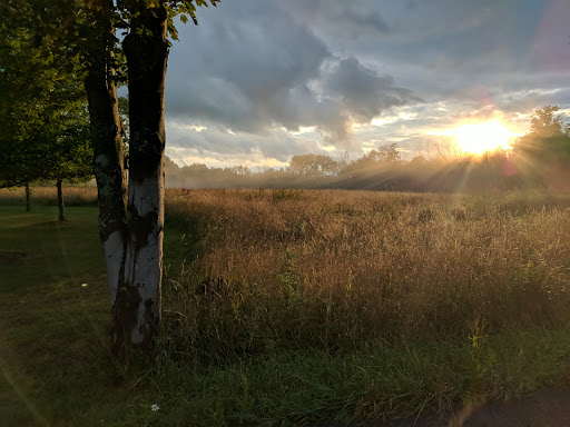 Meadowsweet Preserve - Thumbnail