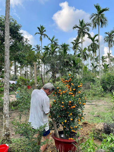 Thuốc Nam Ba Lâm, Tư Nghĩa, Quảng Ngãi