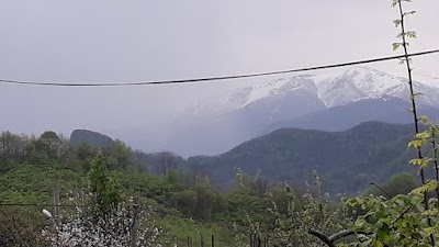 Tirebolu Teknik ve Endustri Meslek Lisesi