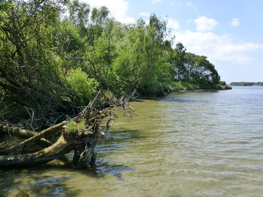 Insel im Binnentief Hooksiel Gallery - Germany