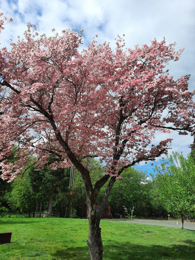 Bridgeview RV Resort - Thumbnail