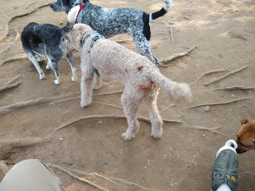 South Slope Dog Run - Thumbnail