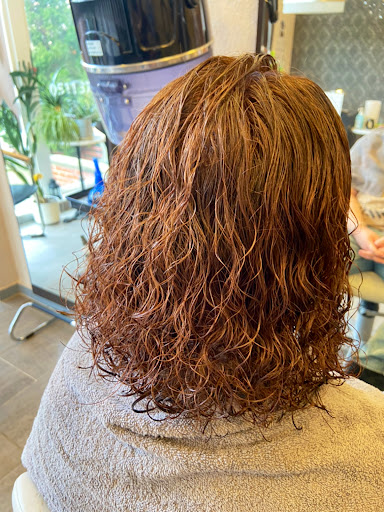 Ellis Salon - Thumbnail