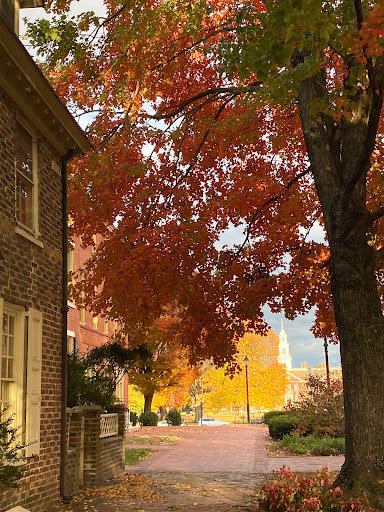 Delaware Shoppes - Visual