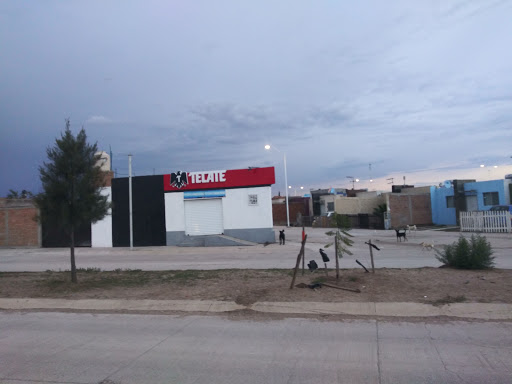 Six Tecate Chispa - Visual