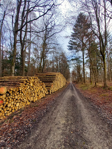 Siebenstern Melsungen - Thumbnail