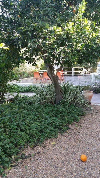 Photos of שרינה שוקולד