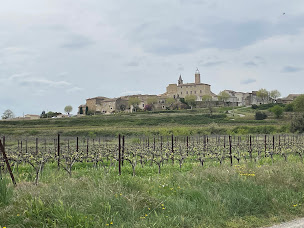 Photo n°61 de Restaurant Le Bienheureux à Saint-Alexandre (Restaurant méditerranéen)