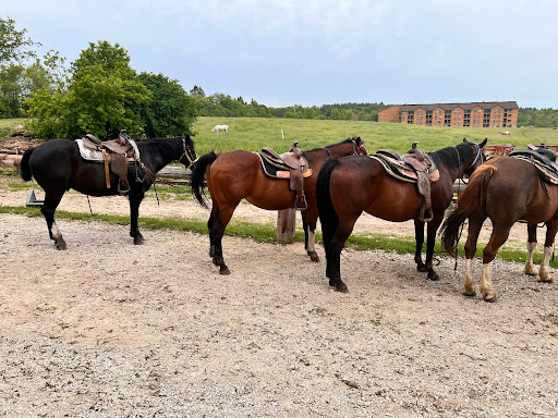Dan Patch Stables - Visual