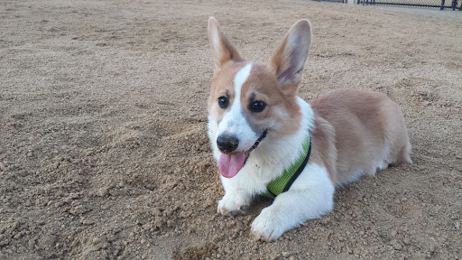 Windemere Dog Park - Thumbnail