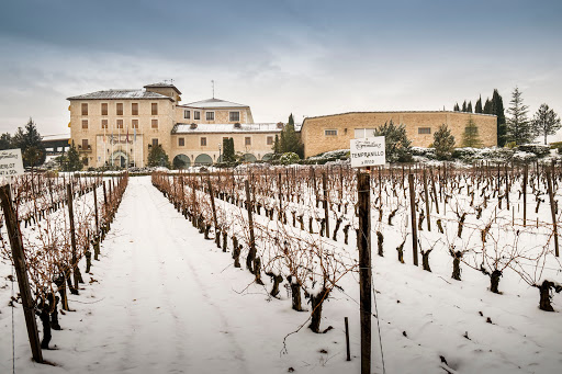 Bodega Finca Torremilanos - Ribera del Duero