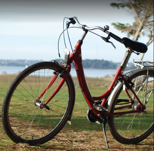 Veloc'Ouest by Maison de la Garenne - Livraison de vélos à VANNES - Thumbnail