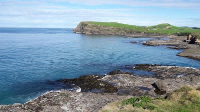 Photos of Curio Bay Salthouse Motel