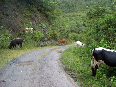 photo of Aguas Termales Medicinales de Uchubamba