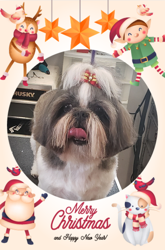 Paw'sh Pet Salon