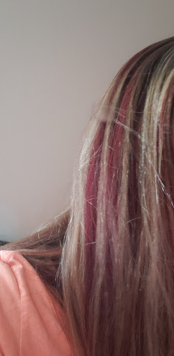 Holly Salon - Thumbnail