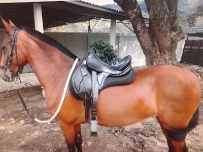 Photos of Agroinsumos Lua