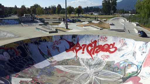 Duncan Skatepark - Thumbnail