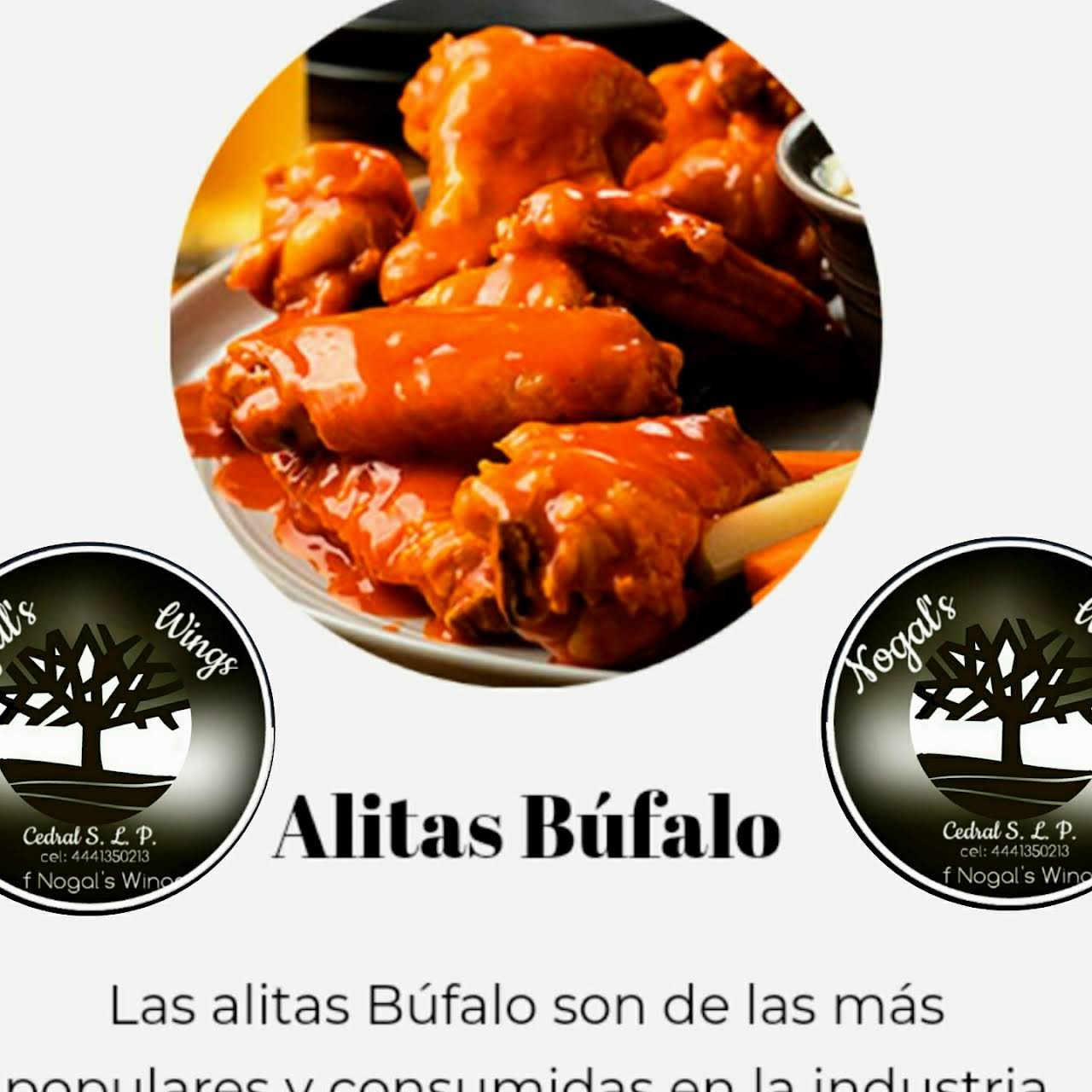 Nogal's Wings Cedral - Restaurante en Zona Centro